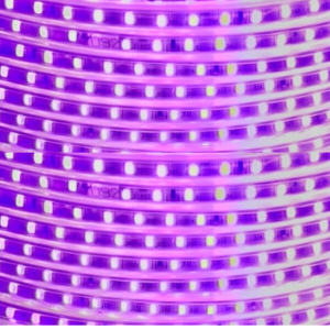 CINTA LED 220V PURPURA 2835 INTERIOR EXTERIOR CORTE CADA 1 METRO