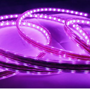 CINTA LED 220V PURPURA 2835 INTERIOR EXTERIOR CORTE CADA 1 METRO
