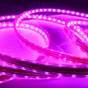 CINTA LED 220V ROSA 2835 INTERIOR EXTERIOR CORTE CADA 1 METRO