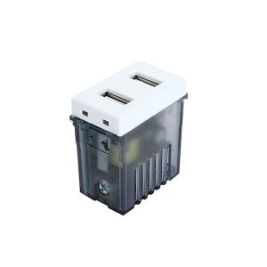 Modulo Toma USB Doble STANFORD Color Blanco