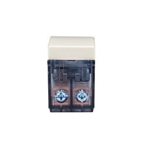 Modulo Interruptor 16A 250V STANFORD Champagne