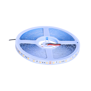 CINTA 24V 5050 14W/MT IP20 60LED/MT 6500K 10MM C/ADHESIVO 10MT
