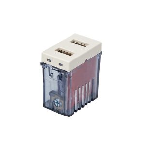 Modulo Toma USB Doble STANFORD Color Café
