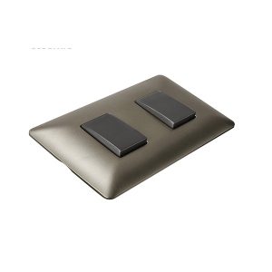 Interruptor Doble (9/15) 10A 250V Stanford Chanpagne (copia)