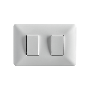 Interruptor Doble (9/15) 10A 250V Stanford